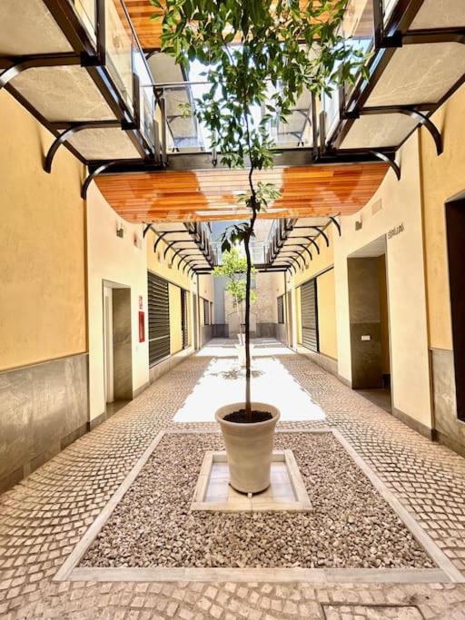 Hispalis Patio Del Rinconcillo Sewilla